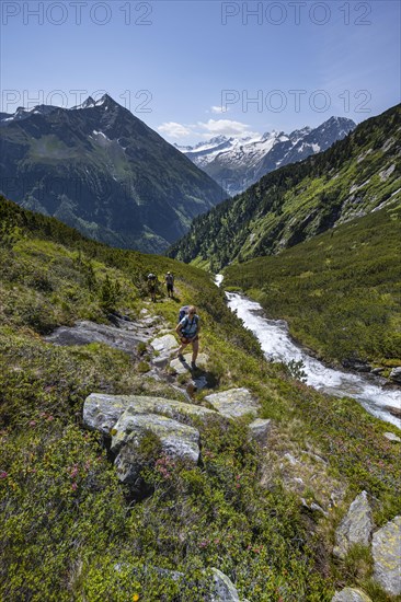 Hiker on hiking trail