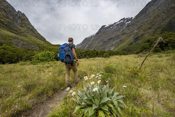 Hiker on Hiking Trail