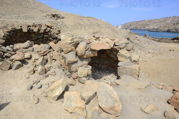 Human bones in the Inca ruins of Quebrada de la Huaca