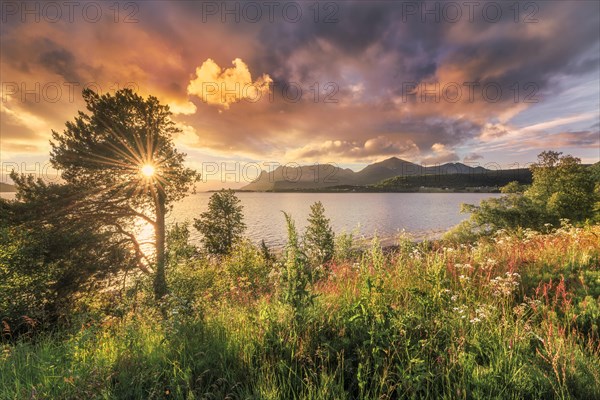 Midnight sun in midsummer by the fjord