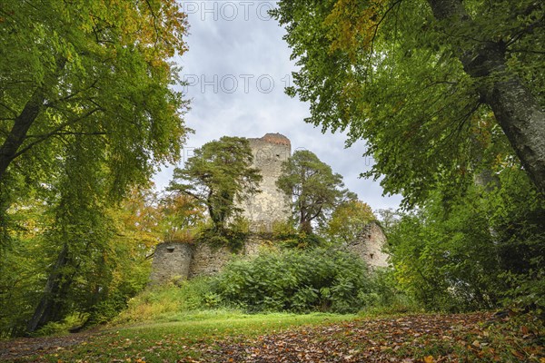 The Altboman castle ruins on the Bodanrueck