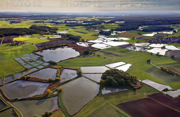 Carp pond