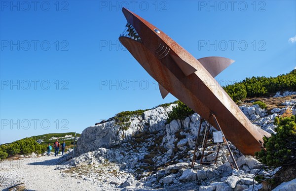 Dachstein Hai at the Heilbronn circular hiking trail