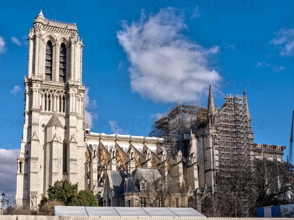 Burnt Cathedral Notre-Dame de Paris