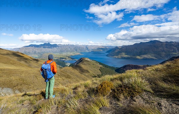 Hiker on the Ben Lomond trail