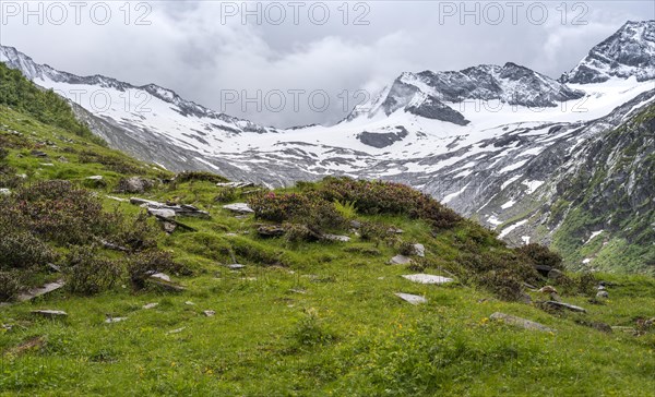 Schlegeisgrund