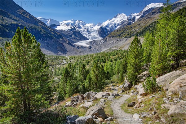 Hiking trail in the Morteratsch Valley with Bellavista