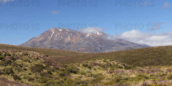 Mount Ngauruhoe