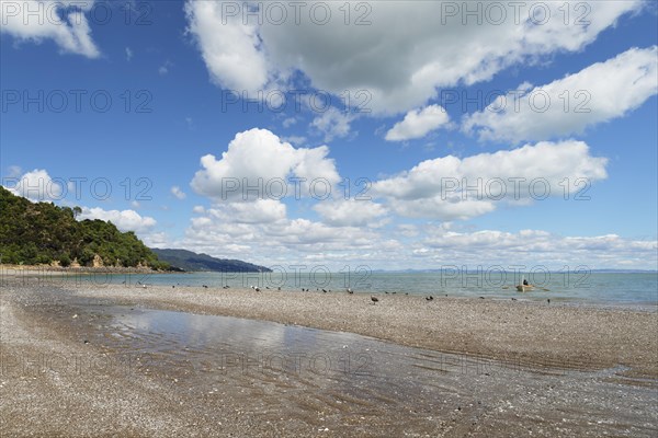 Firth of Thames