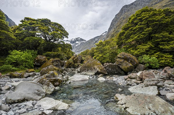 River with rocks along the trail