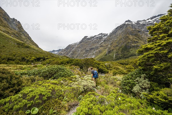 Hiker on trail to Gertrude Saddle