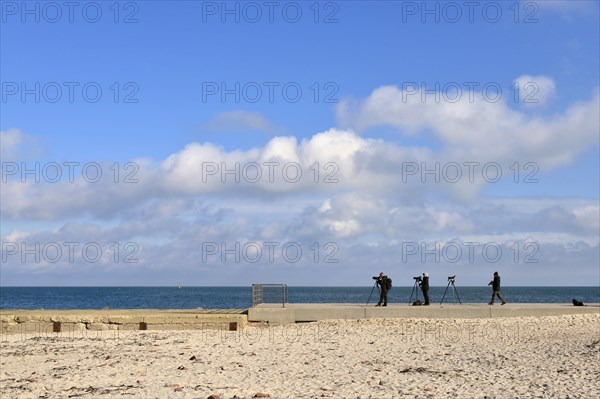 Hobby ornithologists with spotting scopes on Helgoland