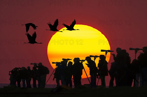 Nartur friends with telescopes in front of setting sun