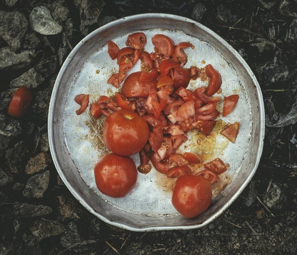 Tomatoes on a tray