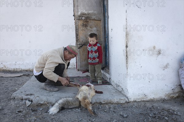 Spai Bashakhan skins a fox