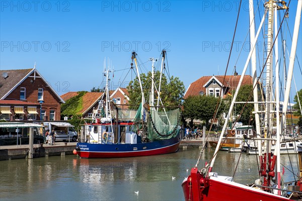 Colourful shrimp boats in the fishing port