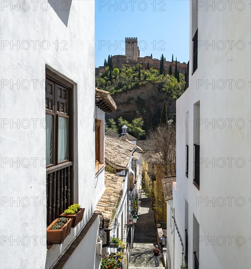 Alley with view of the towers of the Alhambra