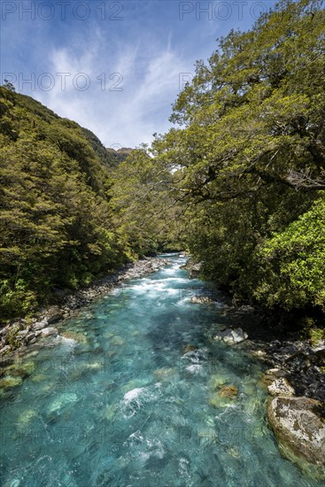 Hollyford River