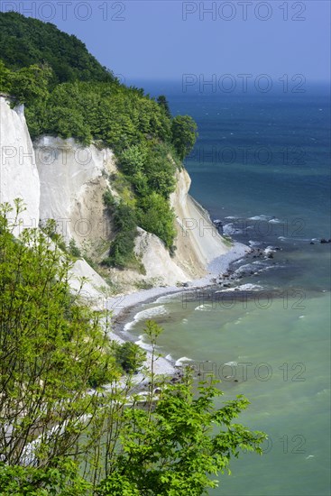 View of the chalk cliffs in the Jasmund National Park on Ruegen