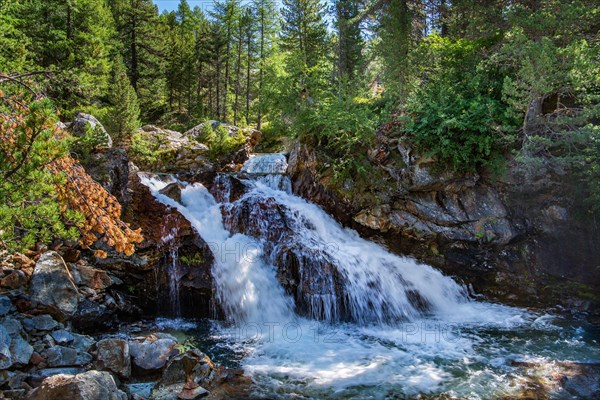 Small waterfall in the Morteratsch Valley