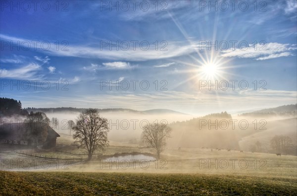 Foggy atmosphere in the morning in Einsiedel
