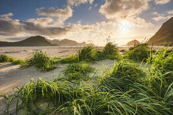 Atmospheric warm back light on the white sandy beach