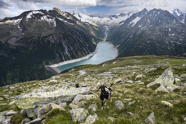 View from the Berliner Hoehenweg