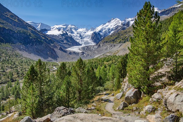 Hiking trail in the Morteratsch Valley with Bellavista