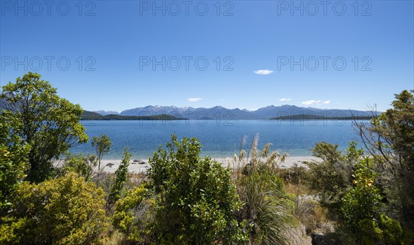 Beach at the lake