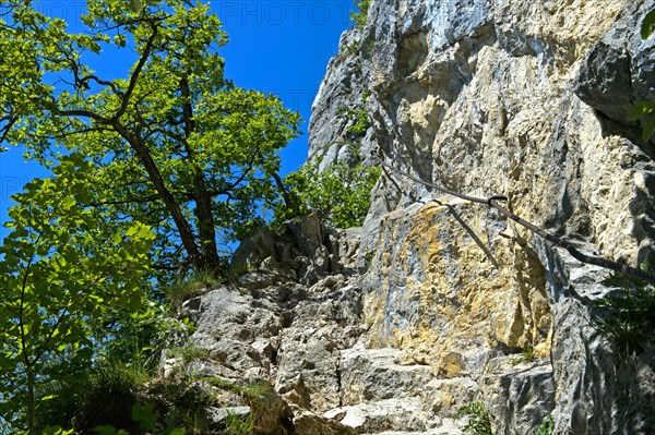 Part of the Orjobet geological trail secured with steel cables to the summit of Mont Saleve