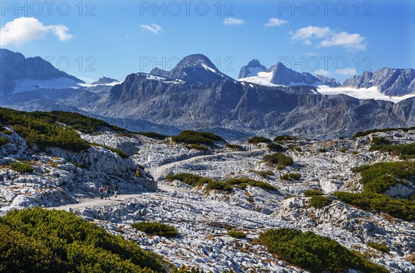 Heilbronn circular hiking trail with views of the Hoher Dachstein