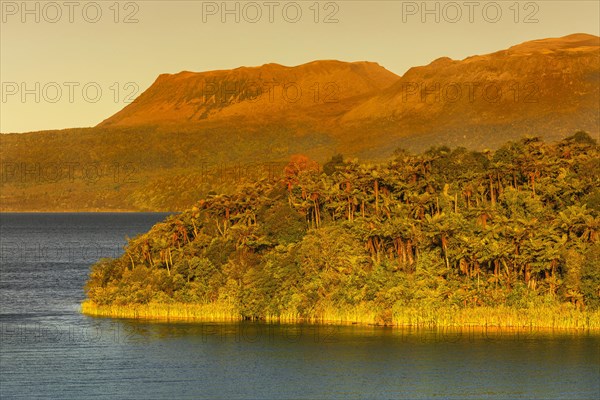 Lake Tarawera at sunset