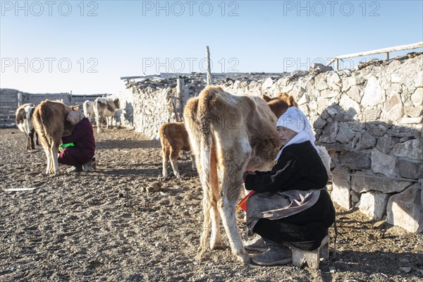 Nomads in the Altai Mountains