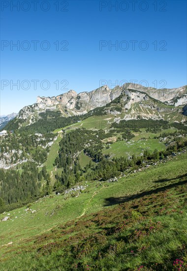 View of the Rofan Mountains