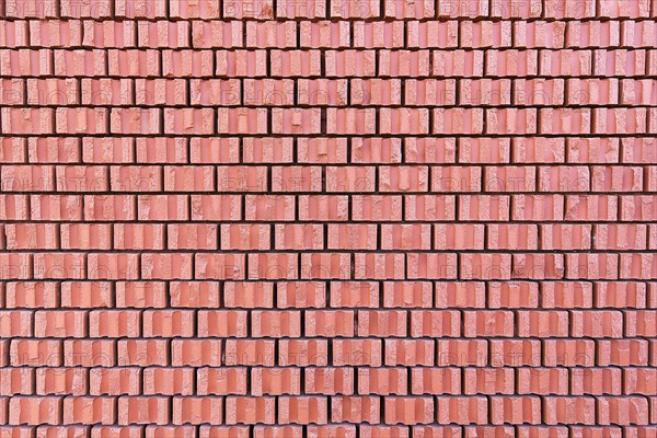 Wall