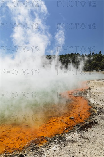 Champagne Pool