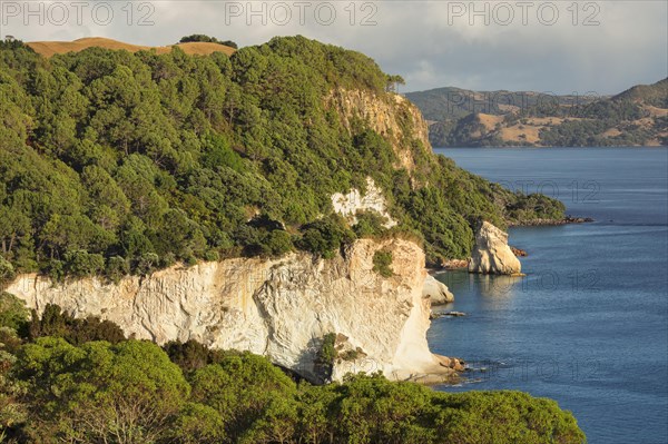 Coast at Cathedral Cove Walk