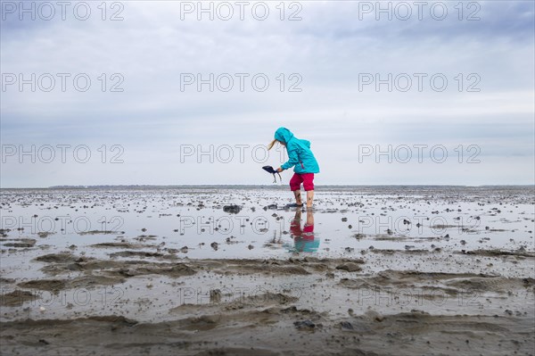 Child playing in the mudflats