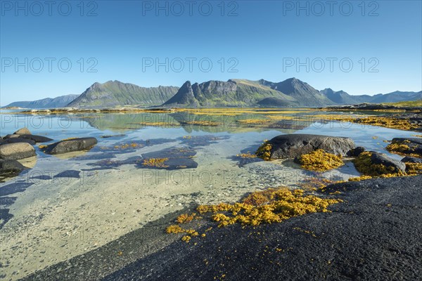 Shallow coastal waters