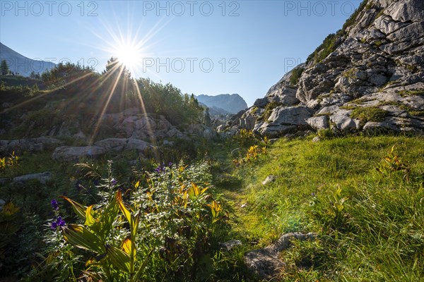 Karst landscape