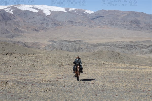 Cattle herder on his horse in the Altai mountains