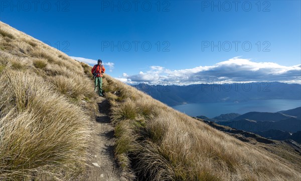 Hiker on the hiking trail to Ben Lomond