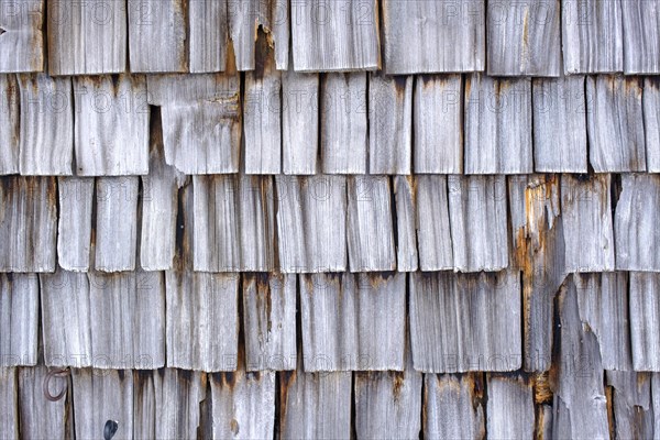 Old wooden shingles