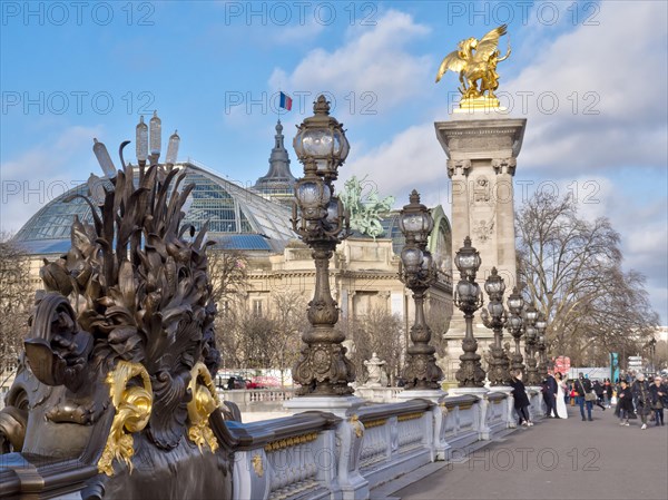 Pont Alexandre III Bridge over the Seine