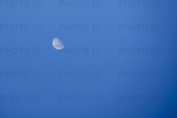 Waning crescent in the daytime sky