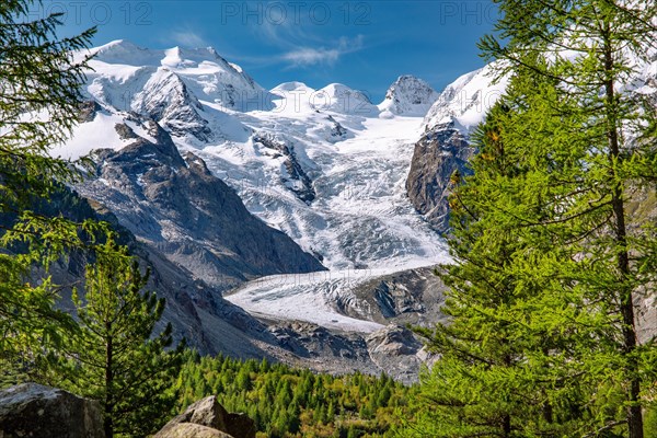 Morteratsch Valley with Bellavista and Morteratsch Glacier