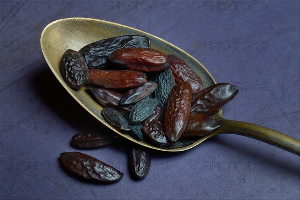 Tonka beans