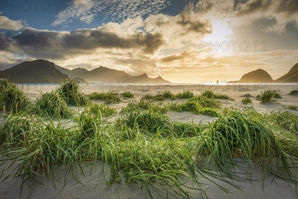 Tiny person walks in atmospheric backlight on white sandy beach