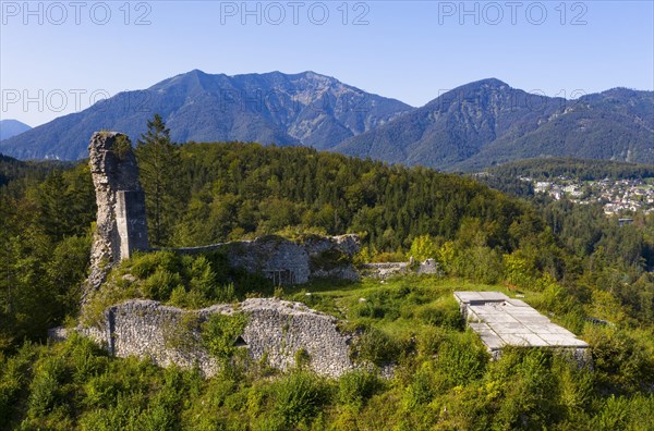 Wildenstein Castle Ruin