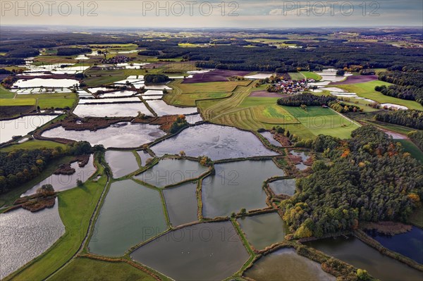 Carp pond